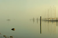 Study 4 (Pelican Harbour, In Fog)