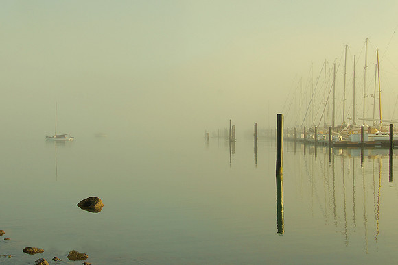 Study 4 (Pelican Harbour, In Fog)