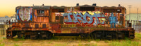 IROT (Graffitied Locomotive, Eureka CA), 8x24