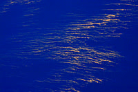 Tree Pollen On The Surface Of Crater Lake (#3)