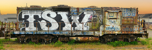 TSW (Graffitied Locomotive, Eureka CA), 8x24
