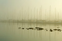 Study 3 (Low Tide, In Fog)