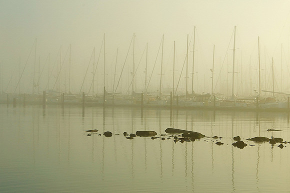 Study 3 (Low Tide, In Fog)