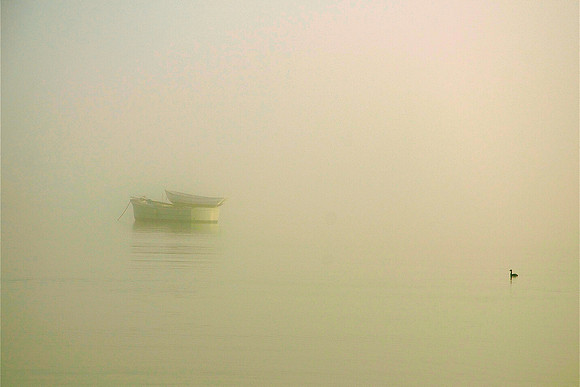 Study 2 (Boat On Boat, In Fog)