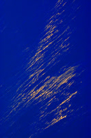Tree Pollen On The Surface Of Crater Lake (#2)