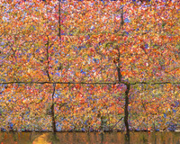 The Autumnal (Crushed, Baled and Stacked)