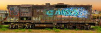 CAUST (Graffitied Locomotive, Eureka CA), 8x24