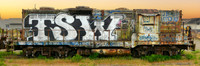TSW (Graffitied Locomotive, Eureka CA), 8x24