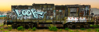 LOCK (Graffitied Locomotive, Eureka CA), 8x24