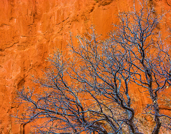 Garden Of The Gods (Burnt Sienna And Gray)