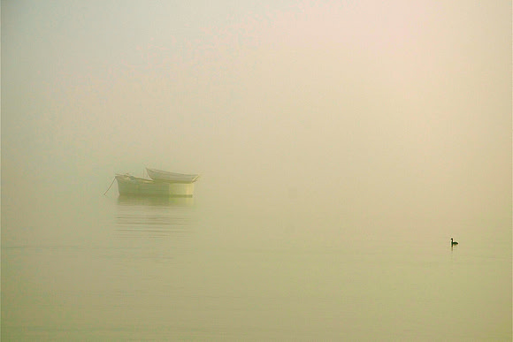 Study 2 (Boat On Boat, In Fog)