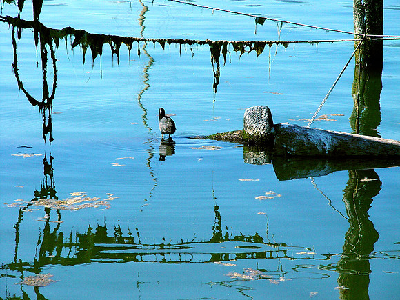 Calm Afternoon