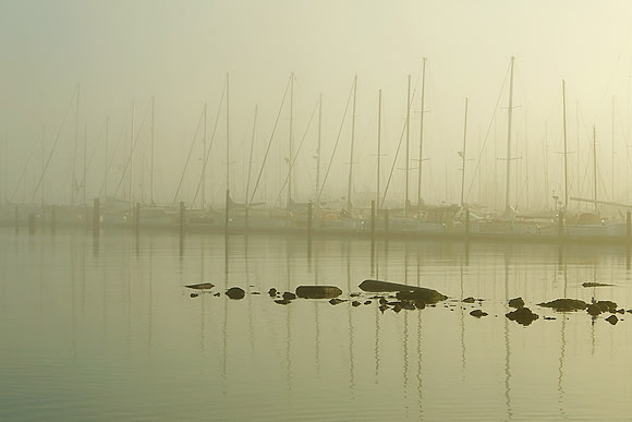Study 3 (Low Tide, In Fog)