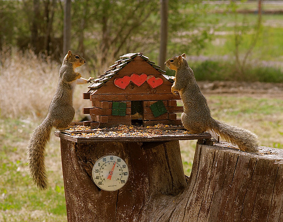 The Love Shack