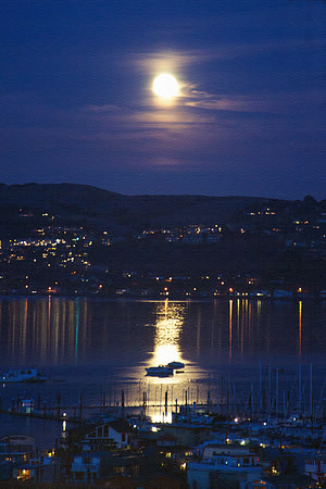 Moonrise In Sausalito